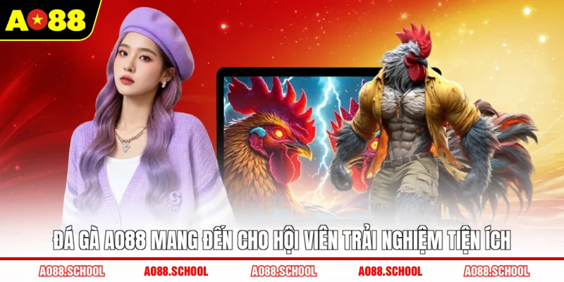 Đá gà AO88 mang đến cho hội viên trải nghiệm tiện ích Đá gà AO88 mang đến cho hội viên trải nghiệm tiện ích